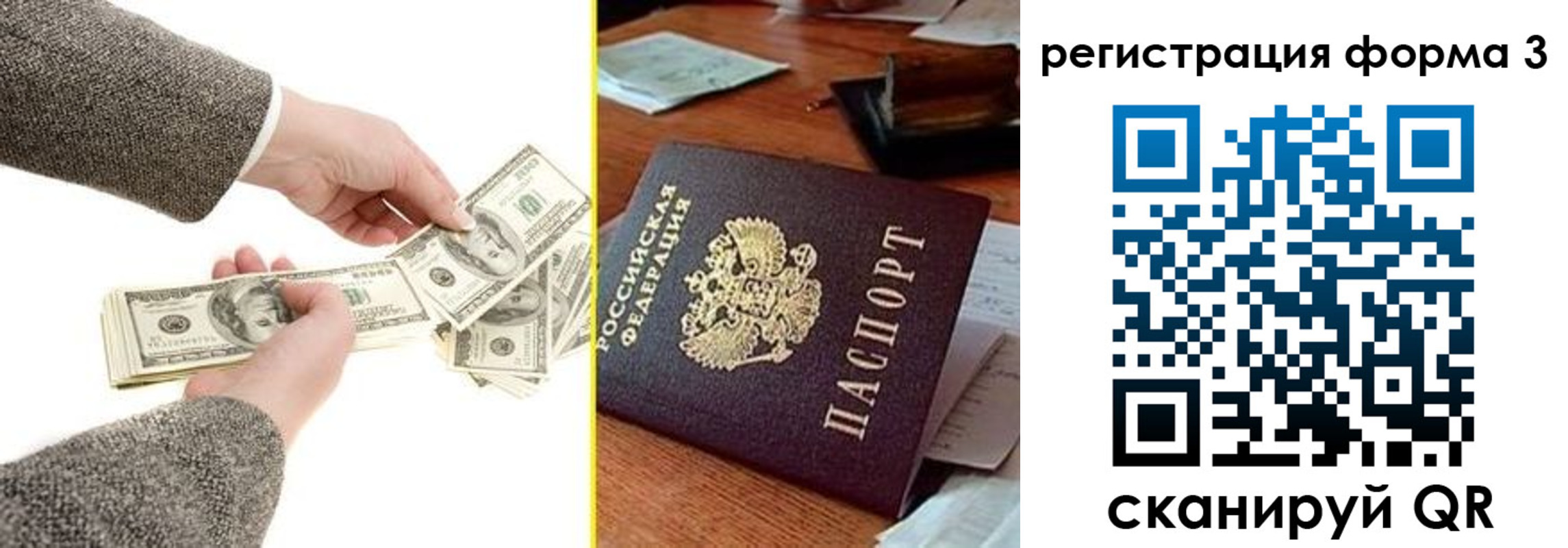 прописка гарантия в Куртамыше